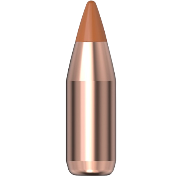 Hornady .172 NTX 15,5gr 100 Stück Hornady .172 NTX 15,5gr 100 Stück
